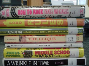 spine poetry 2014 010